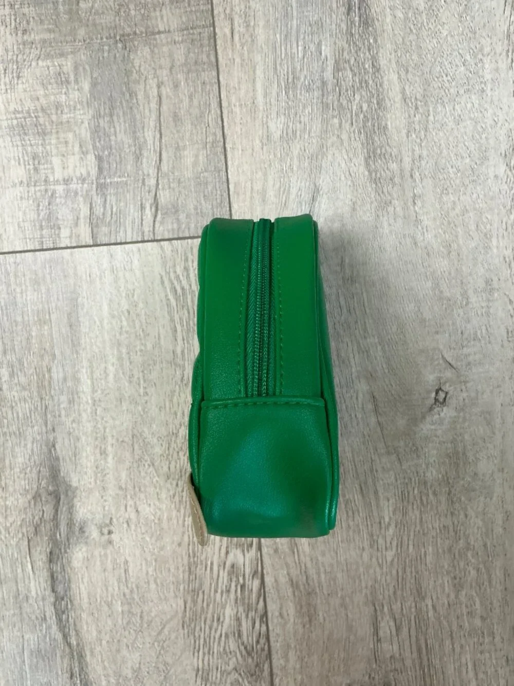 Bath & Body Works Green Turtle Mini Cosmetic Bag Makeup Case - Never Used
